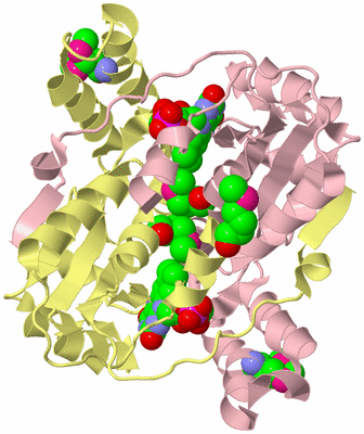 Image Biological Unit 2