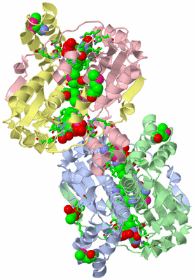 Image Asym. Unit - sites