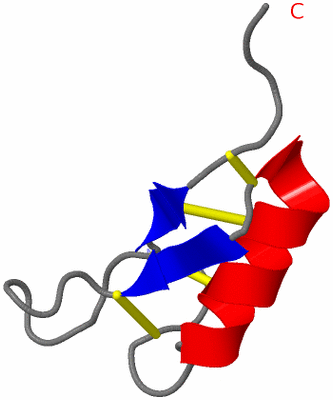 Image NMR Structure - model 1