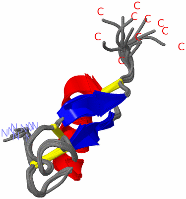 Image NMR Structure - all models