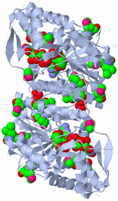 Image Biological Unit 1