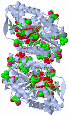 Image Biol. Unit 1 - sites