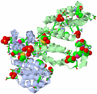 Image Asym./Biol. Unit - sites