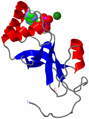 Image NMR Structure - model 1