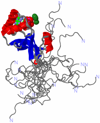 Image NMR Structure - all models