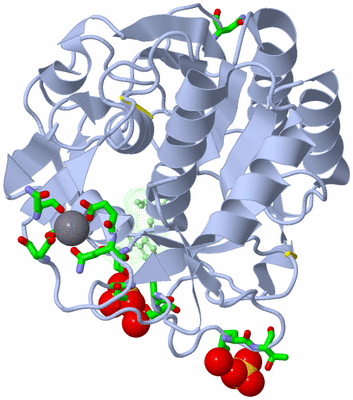 Image Asym./Biol. Unit - sites