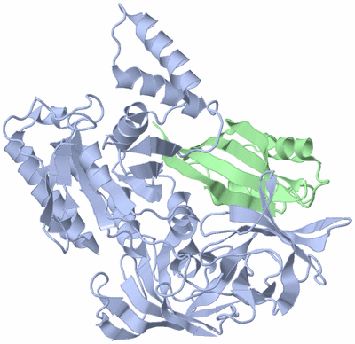 Image Asym./Biol. Unit