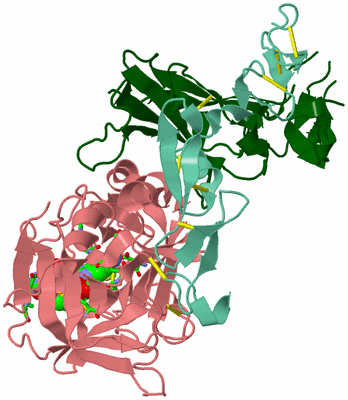 Image Asym./Biol. Unit - sites