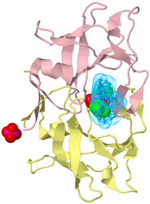 Image Biological Unit 2