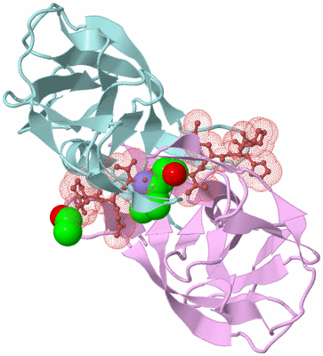 Image Biological Unit 3