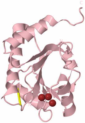 Image Biological Unit 3