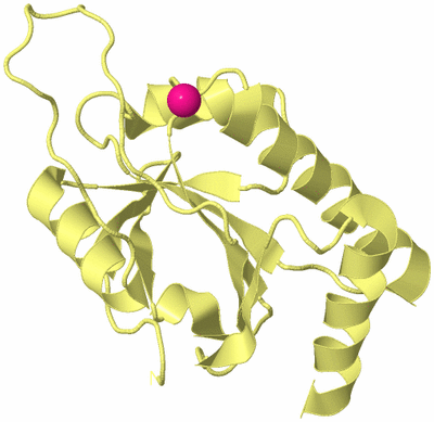 Image Biological Unit 4