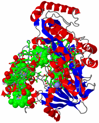 Image Asym./Biol. Unit - sites