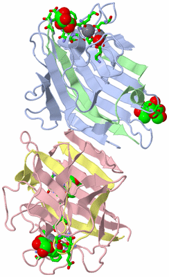 Image Asym./Biol. Unit - sites