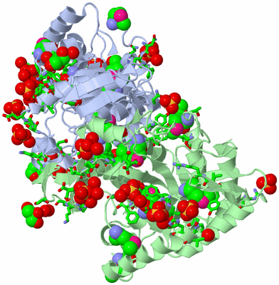 Image Biol. Unit 1 - sites