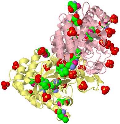 Image Biological Unit 2