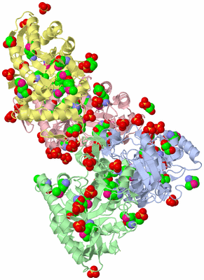 Image Biological Unit 3