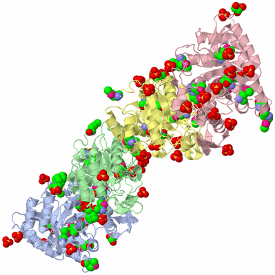 Image Biological Unit 4