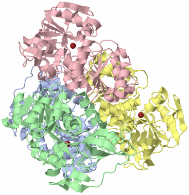 Image Asym./Biol. Unit