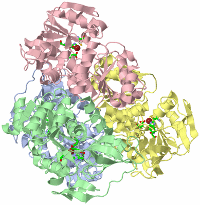 Image Asym./Biol. Unit - sites