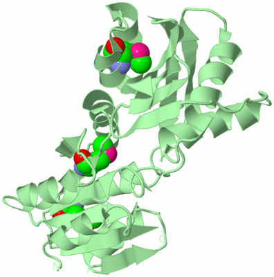 Image Biological Unit 2