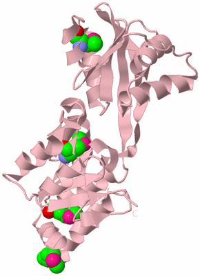 Image Biological Unit 3