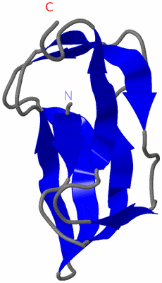 Image NMR Structure - model 1