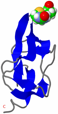 Image NMR Structure - model 1