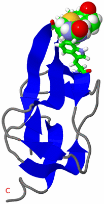 Image NMR Structure - model 1, sites