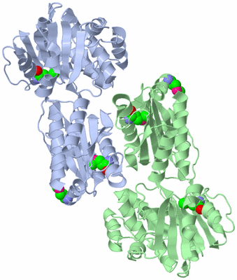 Image Asymmetric Unit