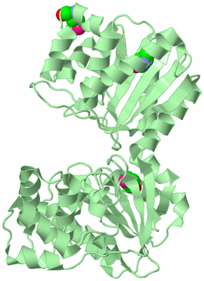 Image Biological Unit 2