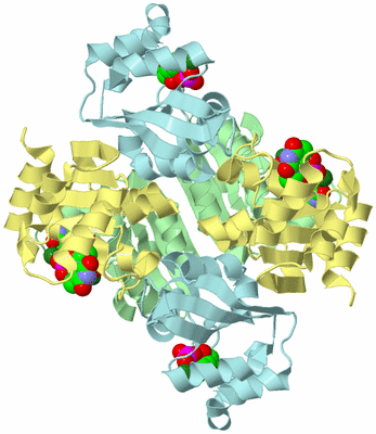 Image Biological Unit 2