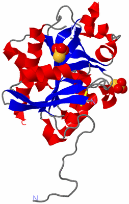 Image Asymmetric Unit