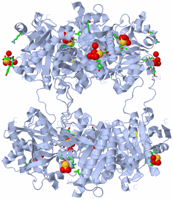 Image Biol. Unit 1 - sites