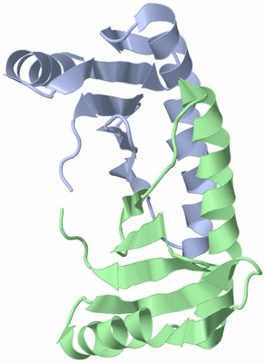 Image NMR Structure - model 1