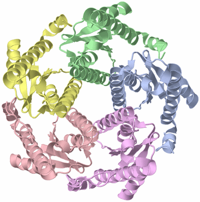 Image Asym./Biol. Unit