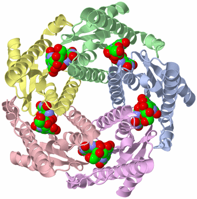 Image Asym./Biol. Unit