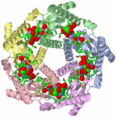 Image Asym./Biol. Unit - sites