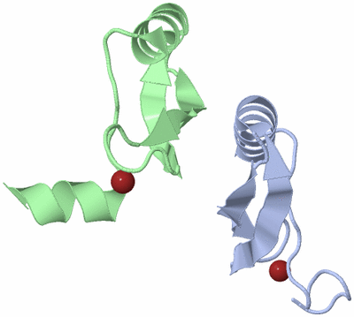 Image Asymmetric Unit