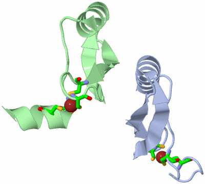 Image Asym. Unit - sites