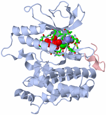 Image Asym./Biol. Unit - sites