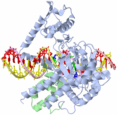 Image Asym./Biol. Unit