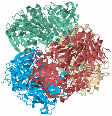 Image Biological Unit 3