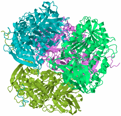 Image Biological Unit 4