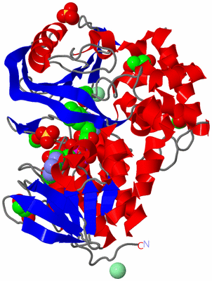 Image Asym./Biol. Unit