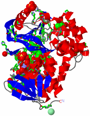 Image Asym./Biol. Unit - sites