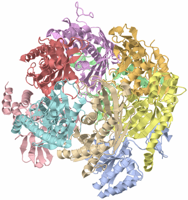 Image Asym./Biol. Unit