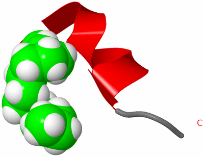 Image NMR Structure - model 1