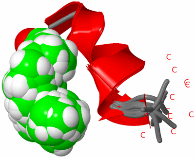 Image NMR Structure - all models