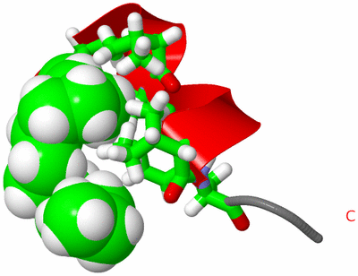 Image NMR Structure - model 1, sites